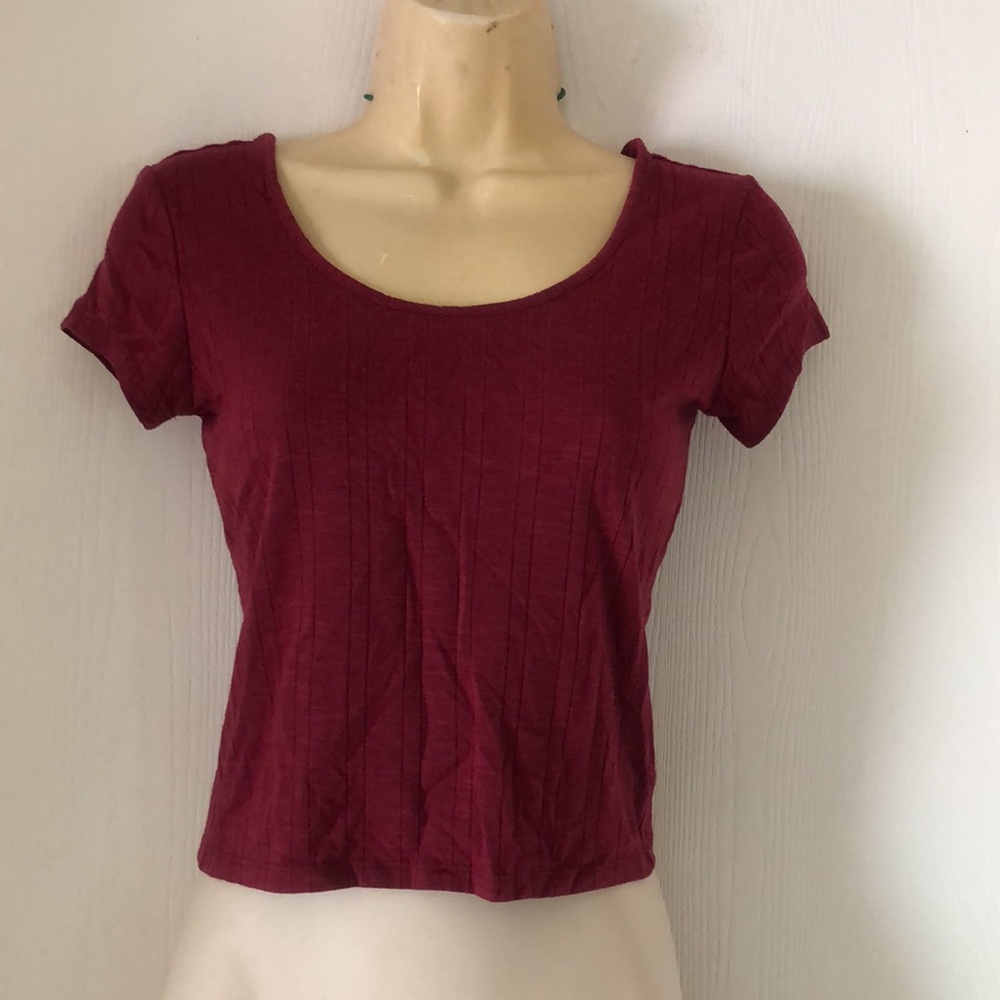 Women's Y2k Burgundy prince & fox cropped top